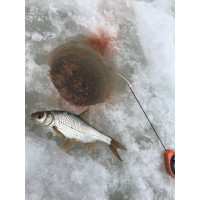 Ловля плотвы зимой