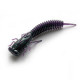 X-Larva