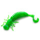Larva Lux