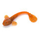 Goby